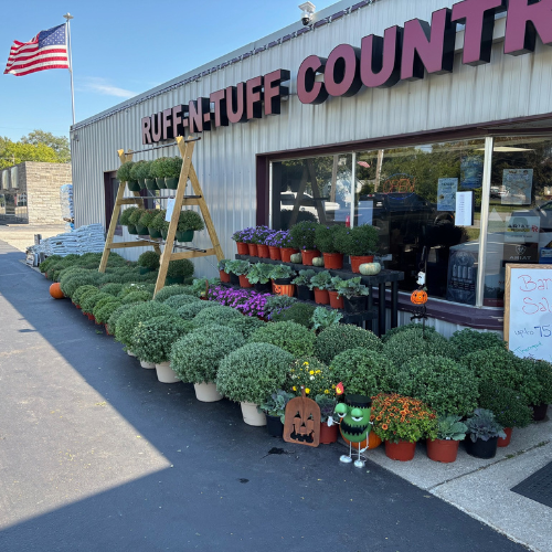 Outdoor display at Ruff-N-Tuff Country with rows of potted mums and pumpkins. A U.S. flag waves nearby, creating a festive autumn atmosphere.