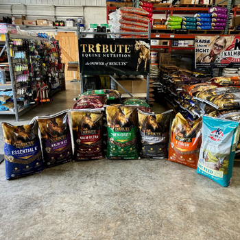 Bags of horse feed are lined up on a store floor, featuring brands like Tribute and Kalmbach. Shelves of animal supplies are visible in the background.