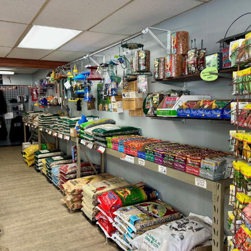 A store aisle displays various bird supplies. Shelves are stocked with colorful seed bags, bird feeders, and suet cakes. The atmosphere is vibrant and organized.